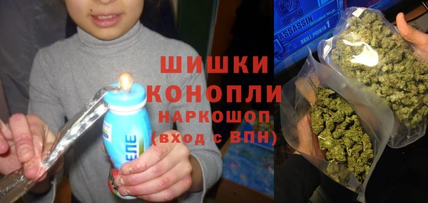 метадон Алексин