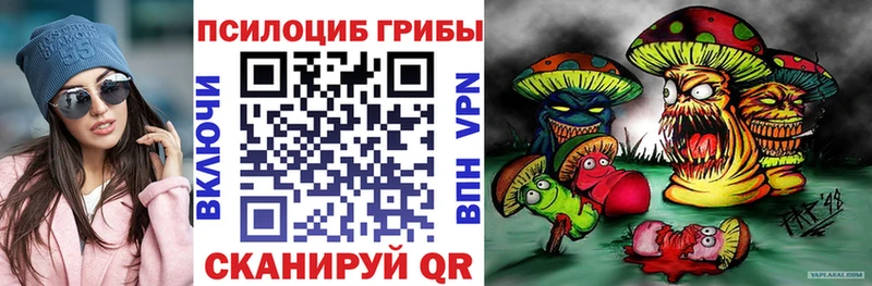 закладка  Ленинск  Псилоцибиновые грибы мухоморы 
